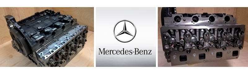 Лонгблок Mercedes OM924LA, Long-Mercedes OM924LA для МАЗ, Mercedes Atego, Ponsse 